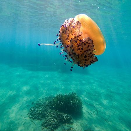 Complejo Turistico Los Bayiyos Agua Amarga  Exterior foto