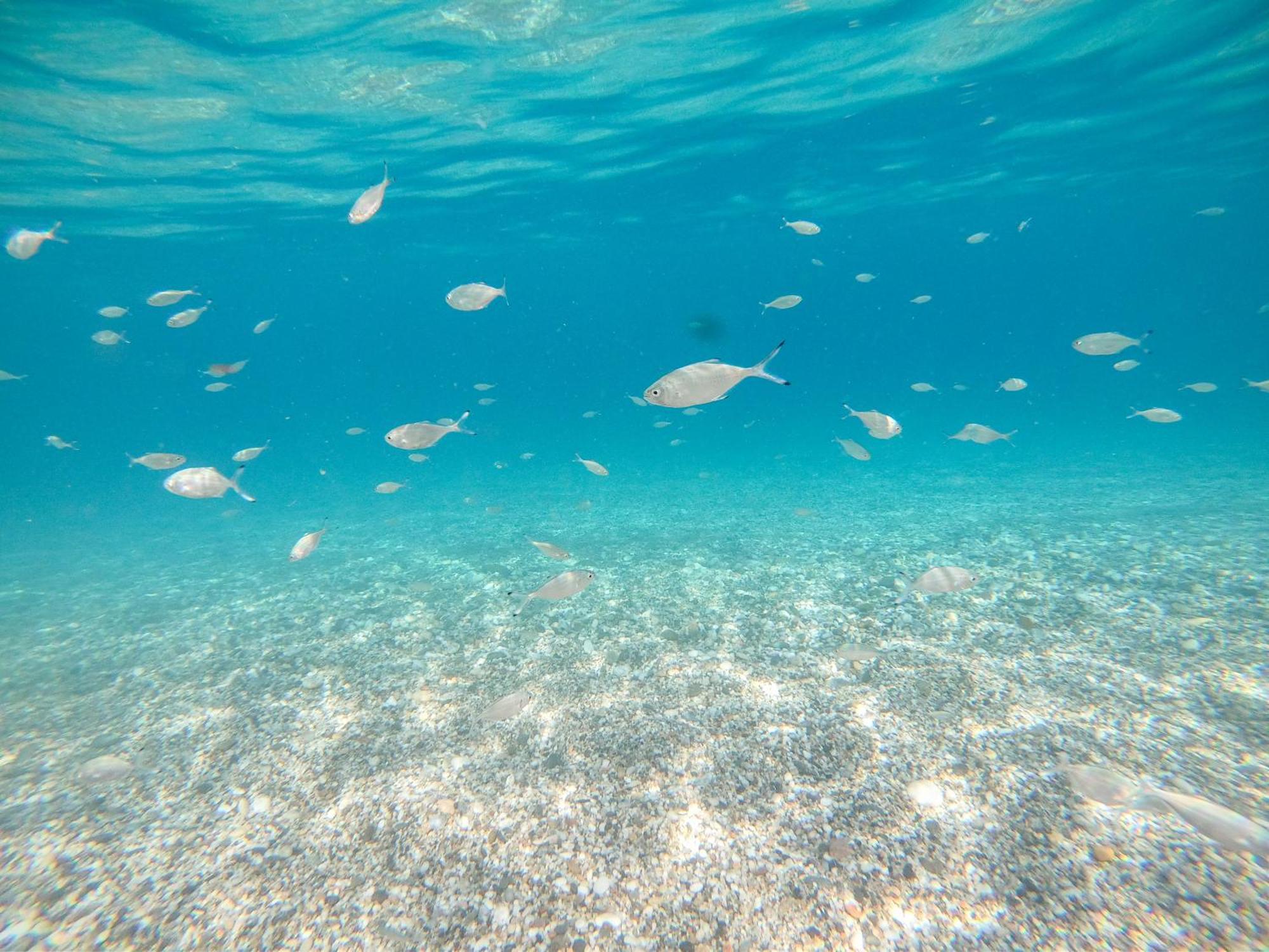 Complejo Turistico Los Bayiyos Agua Amarga  Exterior foto